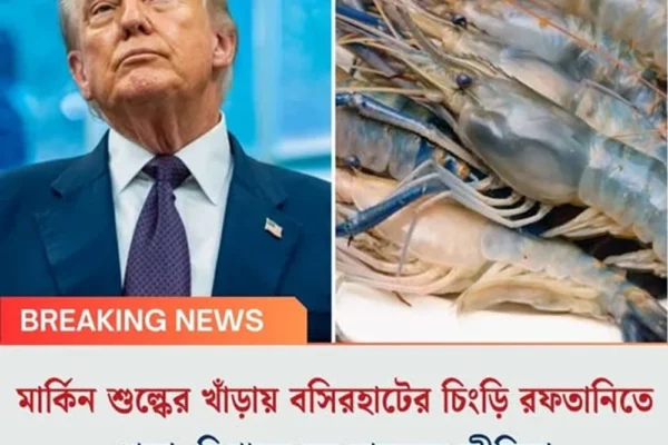 মার্কিন শুল্কের খাঁড়ায় বসিরহাটের চিংড়ি রফতানিতে ধাক্কা, বিপাকে বহু মানুষের জীবিকা