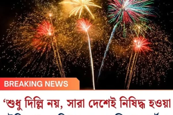 ‘শুধু দিল্লি নয়, সারা দেশেই নিষিদ্ধ হওয়া উচিত শব্দবাজি!’ মন্তব্য সুপ্রিম কোর্টের